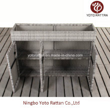 Rattan Shoe Cabinet with SGS Certificated 425